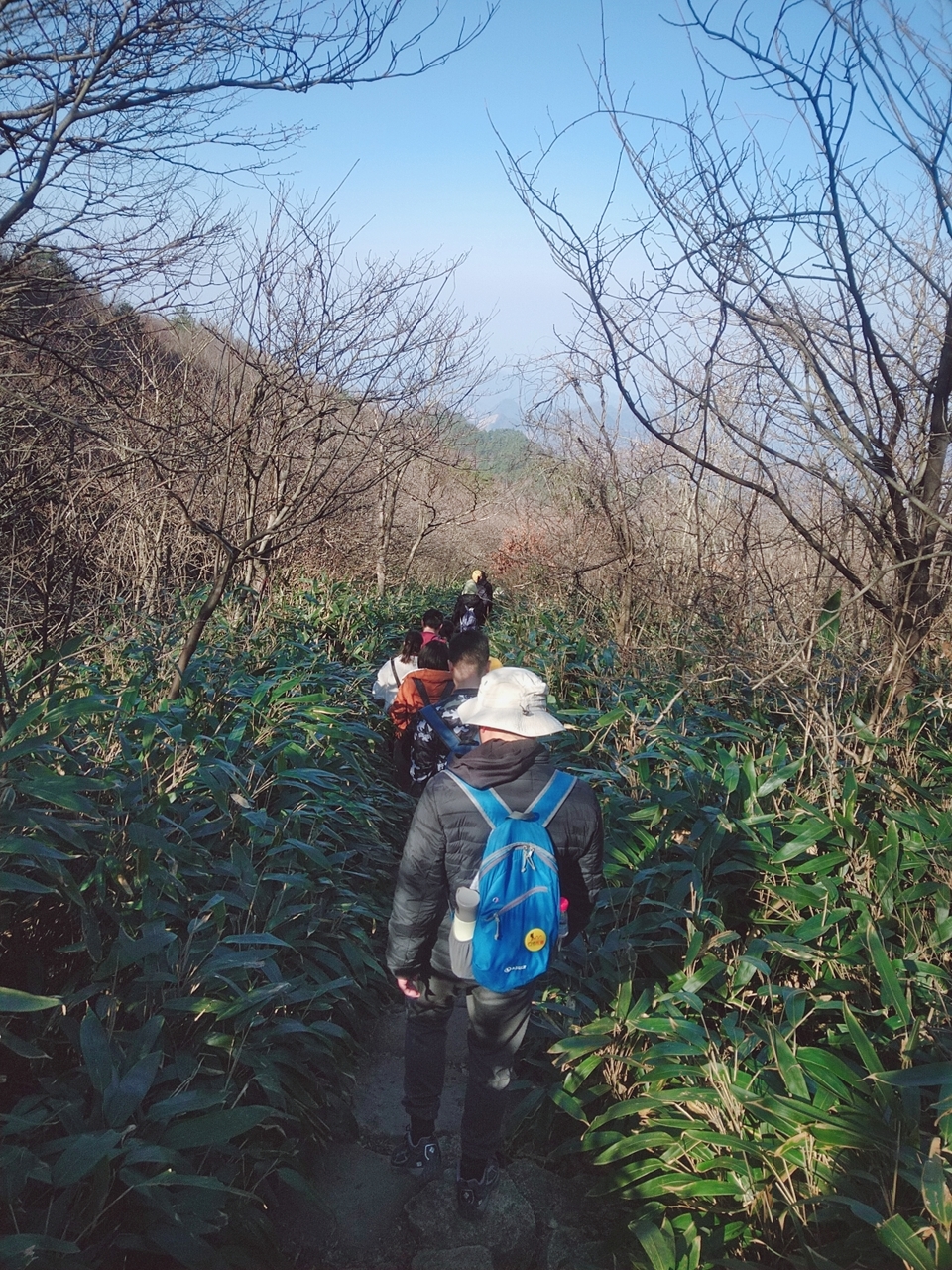 8085ab6dfc5dafee830fec513643683