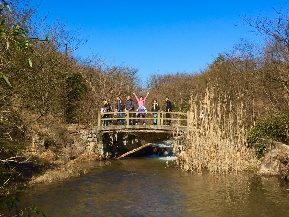 a3162fc31c94e99bdad1342789412ab