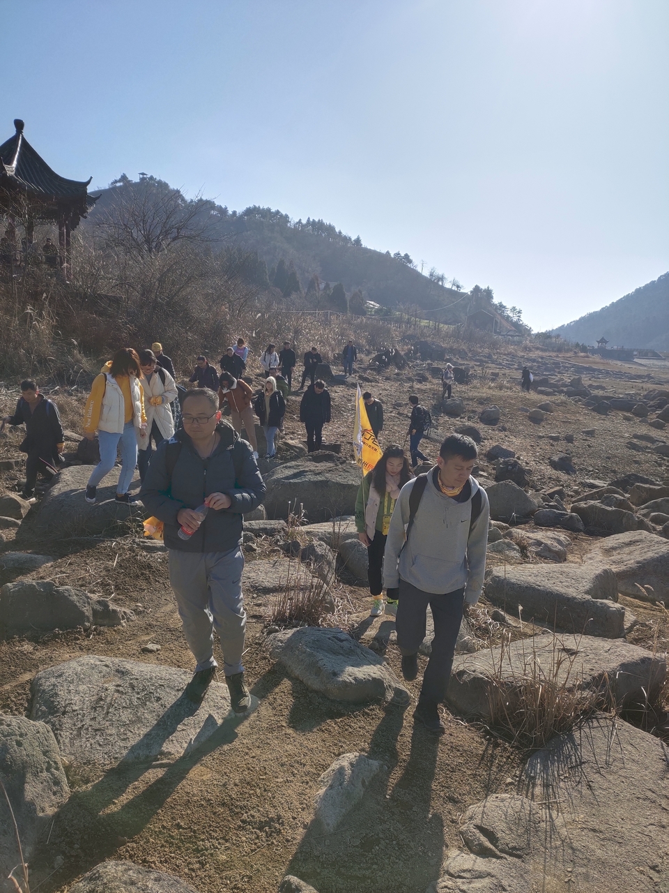 d7765af15ff17af8d620c1afdaef5e5