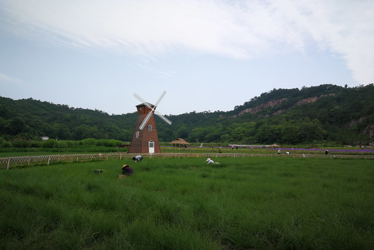 微信图片_20200611160430