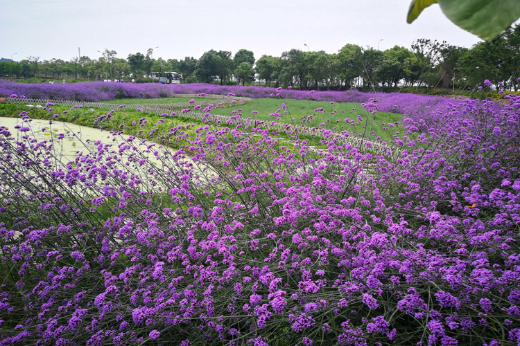 微信图片_20200611160456