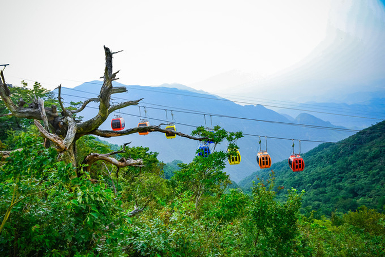 wKgE2l1gEXuAJbb9ACAkDluNjAA711