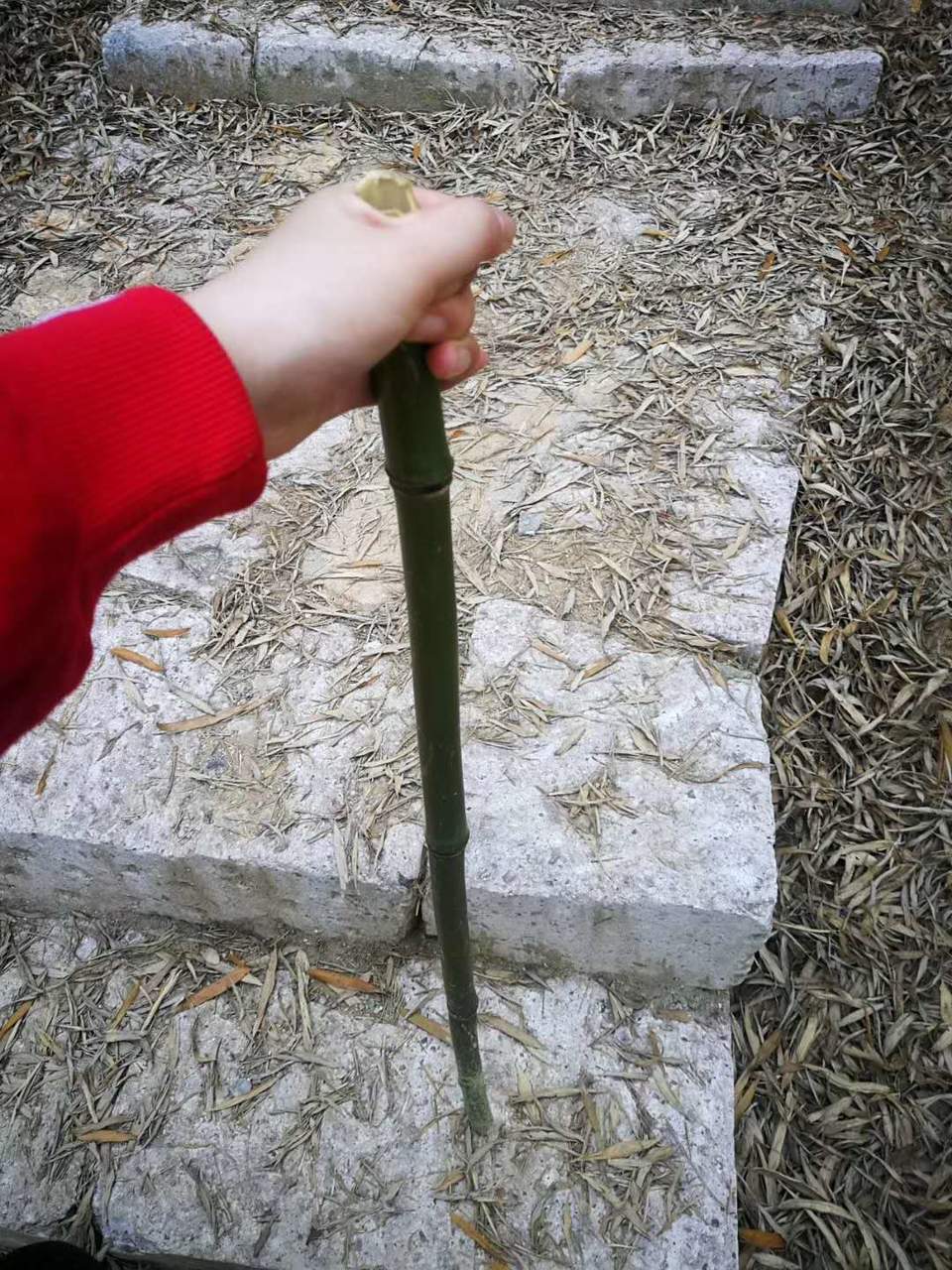 微信图片_20200714145255