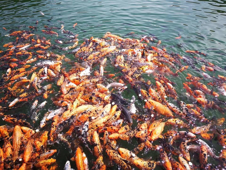 微信图片_20200714145345