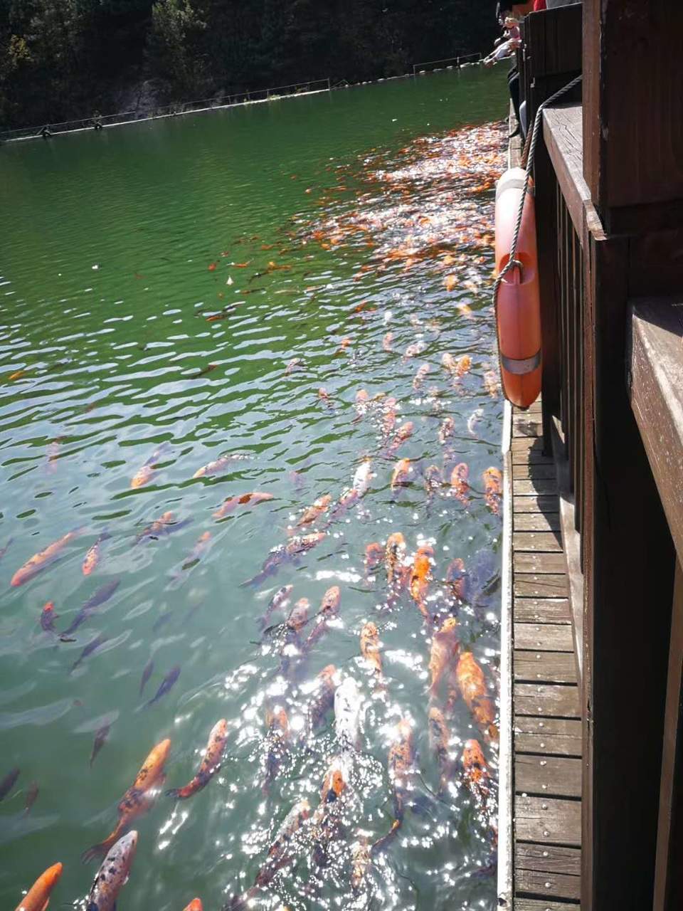 微信图片_20200714145349