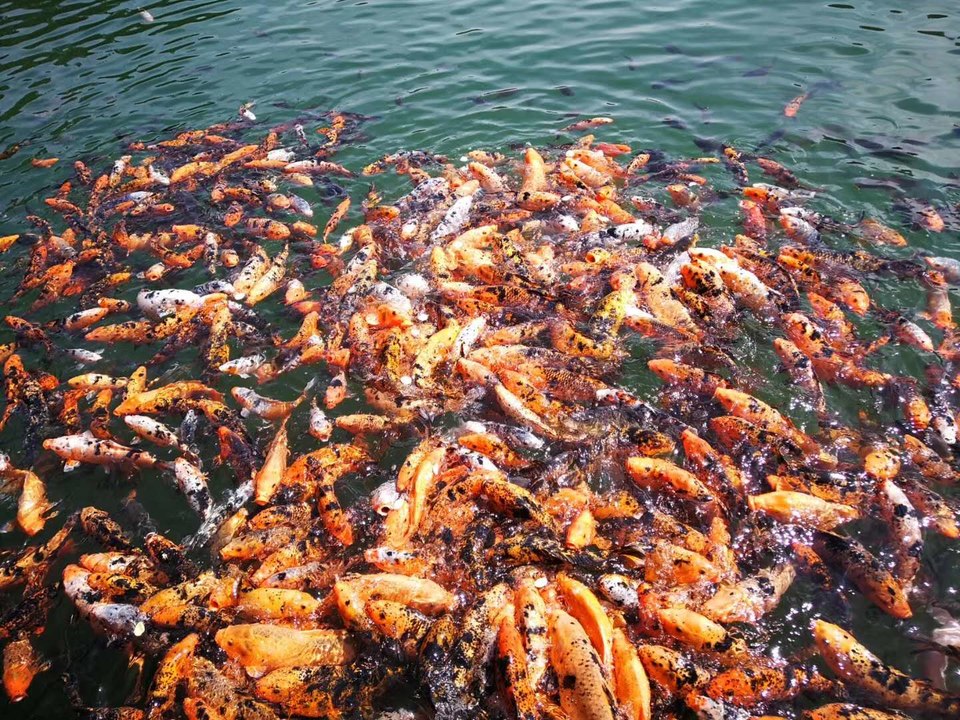 微信图片_20200714145352