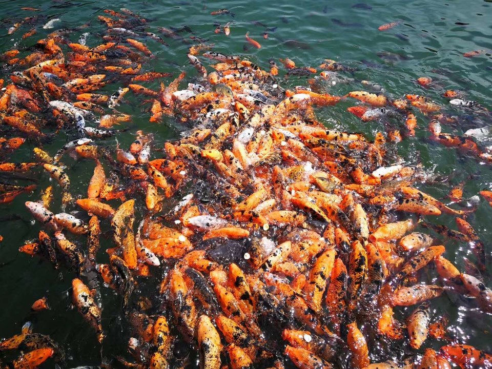 微信图片_20200714145356