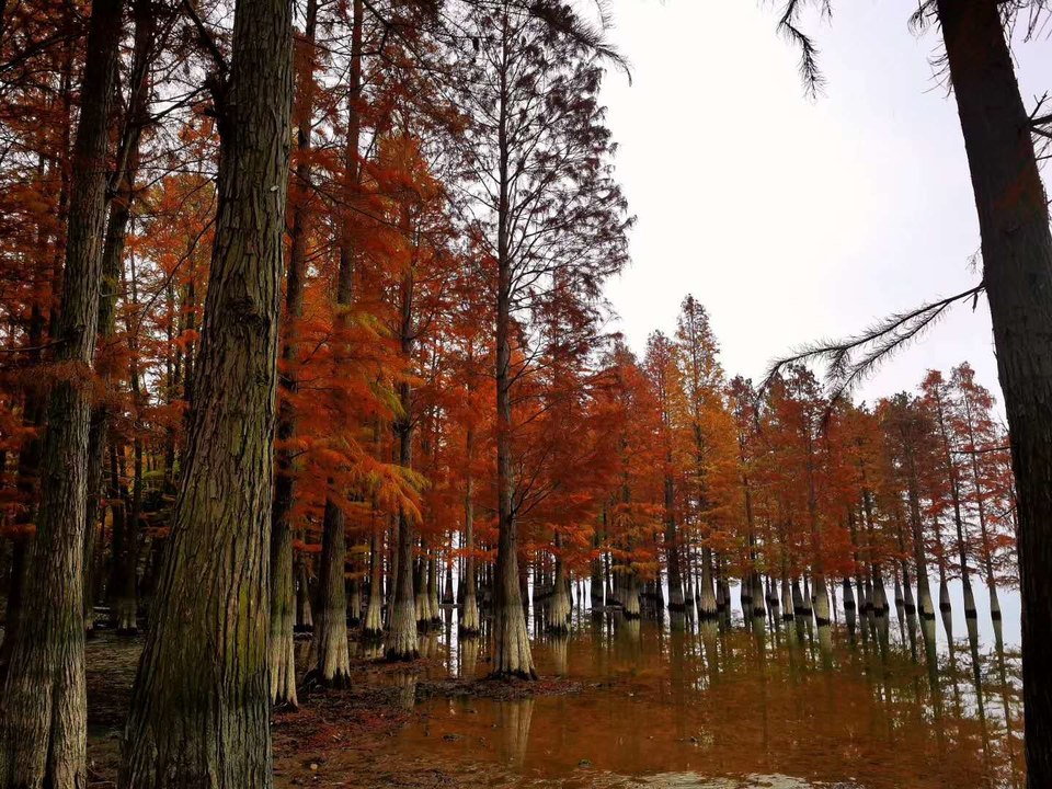 微信图片_20200714151431