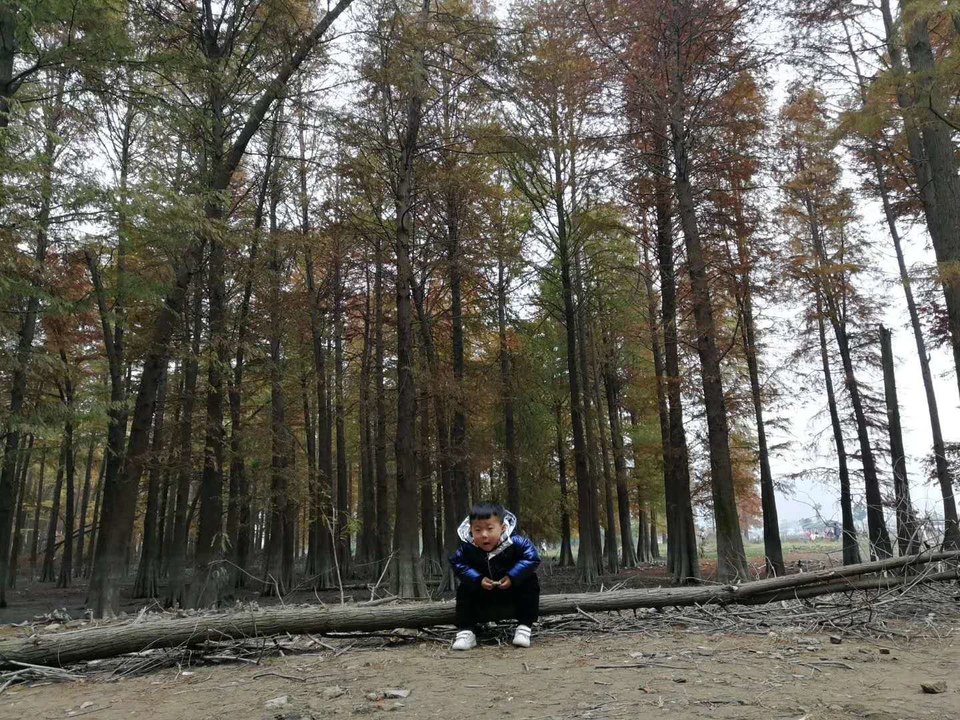 微信图片_20200714151459