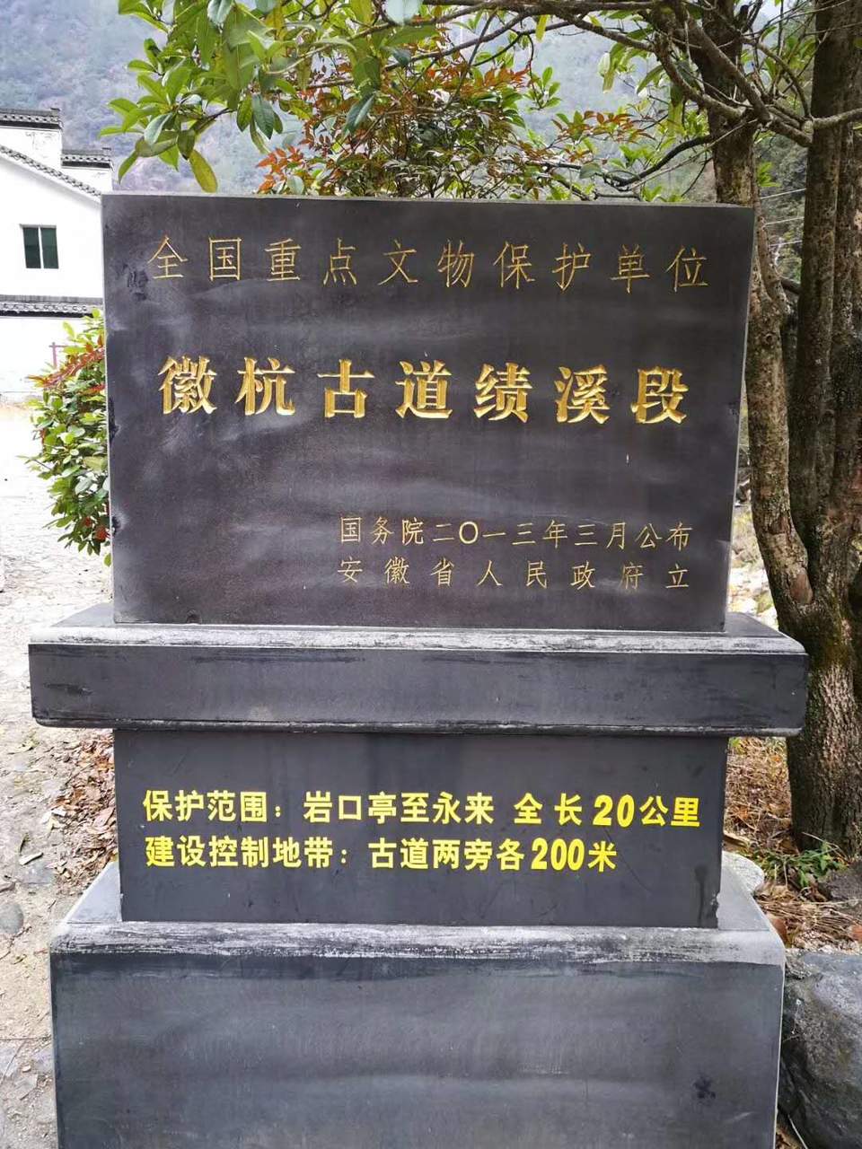 微信图片_20200714151503