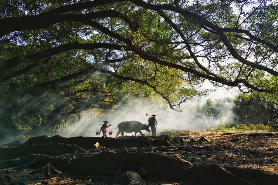 微信图片_20200714151531