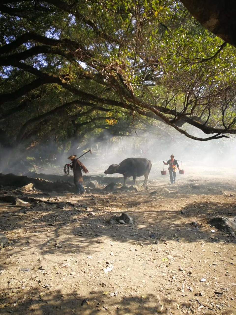 微信图片_20200714151549