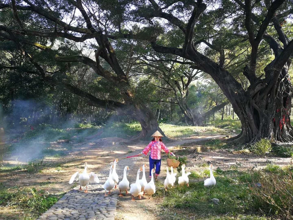 微信图片_20200714151552