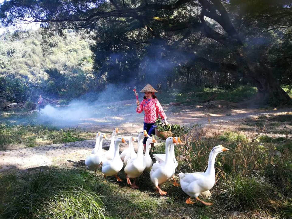 微信图片_20200714151556