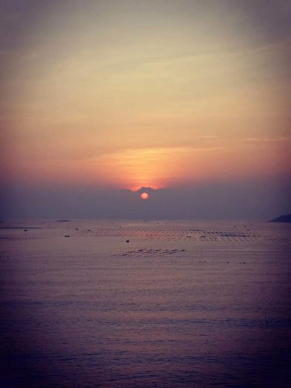 微信图片_20200714151616