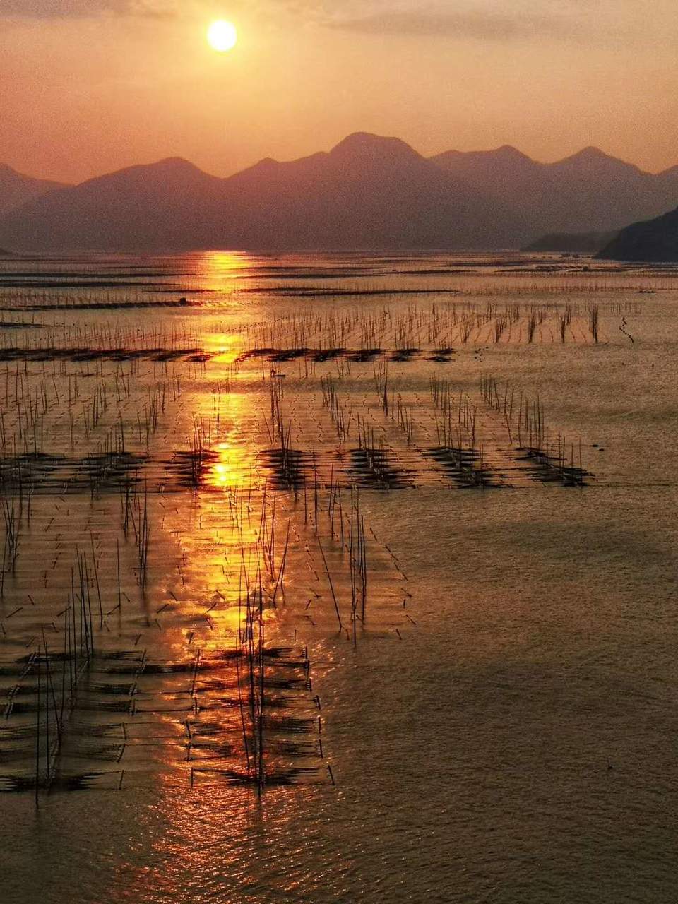 微信图片_20200714151627