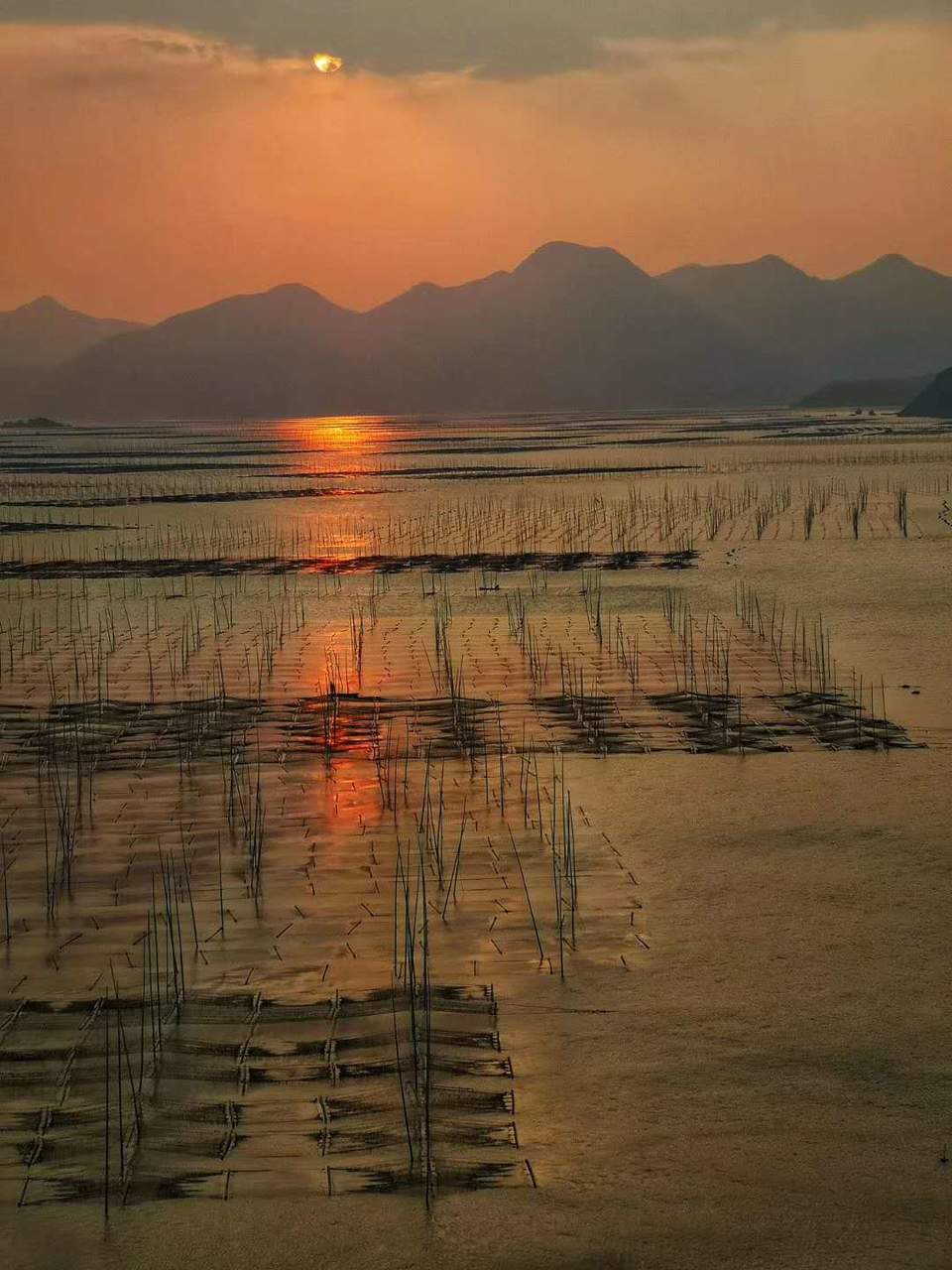 微信图片_20200714151637