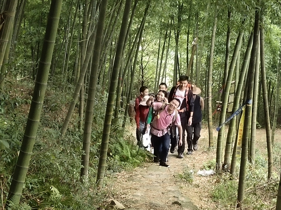 96082ebfaccb38c18a7488f1c3ae37f