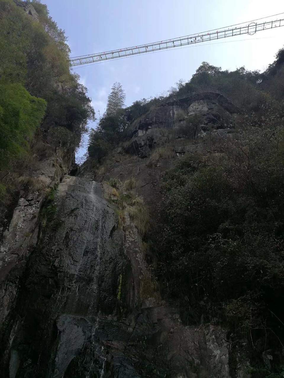 微信图片_20200714152323