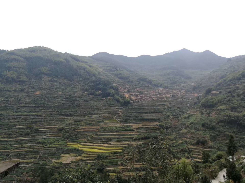 微信图片_20200714152333