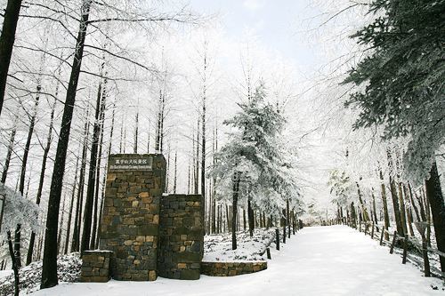 万国风情||1.16  相约莫干山，共赏莫干山之雪景，看冬色莫干山