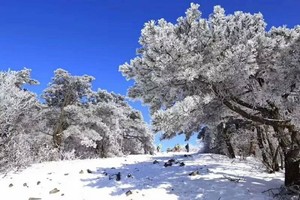 【1月22晚-23日/24晚-25两期】龙王山赏雪，强冷空气来袭 ，登浙西群山之巅 ，偶遇云海云瀑，雾凇，冰挂 美景