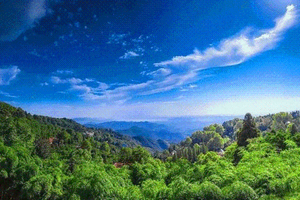 徒步莫干山||10.3  在民国风情中漫游，看莫干山色，徒步蒋公道