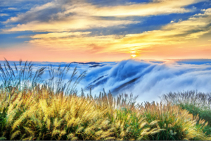 【1月21日晚-22日/23晚-24日| 太子尖】新年看云海日出，太子尖休闲游-走三尖精华路段