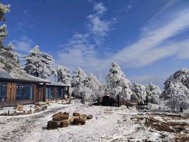 【1.1/2/3网红百丈岭】（赠送冰爪使用）看冰雪雾凇-浙江的大兴安岭，暴雪临安昌北古道，探寻冰封云顶湖 。