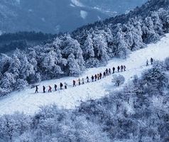【已成行 1月21-25日 每天发团】新线首发，别再去百丈岭人挤人了，跟着我们走条藏在浙皖交界山中，小众赏雪看雾松路线