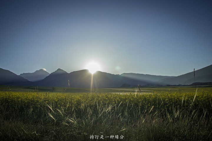 QQ图片20160825213902.jpg