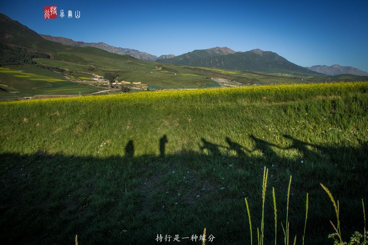 QQ图片20160825214053.jpg