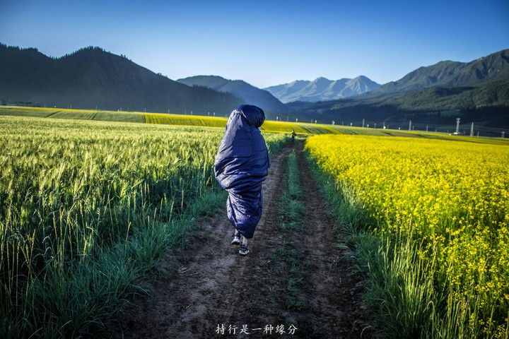 QQ图片20160825214045.jpg