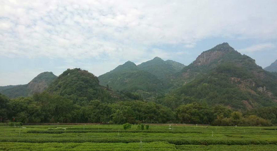 http://img.saihuitong.com/318/img/6191/14fcc67c074.jpg-w930