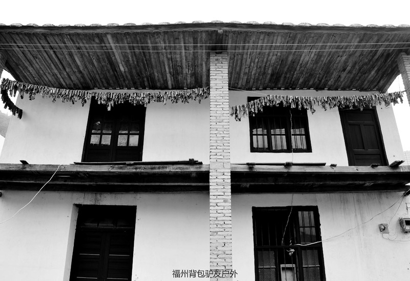 永泰溪洋村青梅花游赏记