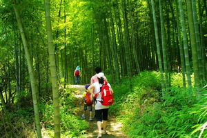 春日踏青计划【从化星溪线】徒步穿越十里竹海 感受最美乡村小径