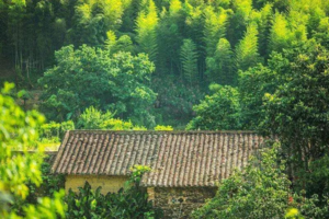 春日清野计划【从化星溪线】以徒步之名，赴清野之约，做环保大使，把春天还给山野