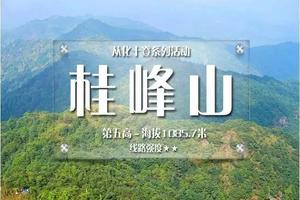【从化十登丨第五峰桂峰山】山峦叠翠、桂峰山花海，探白色从化