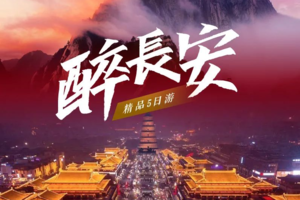 聚享 •【醉长安】兵马俑-大唐不夜城-华山-明城墙-大明宫-回民街-乾陵-袁家村5日轻奢游！