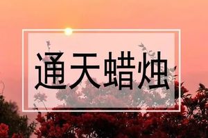 春日踏青计划【从化通天蜡烛1天】挑战从化十登通天蜡烛，赏漫天杜鹃花，拍户外大片