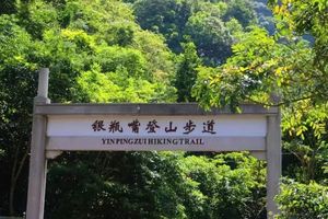 每周末出发【惠阳白云嶂+东莞银屏嘴】赏满山金黄芒草，挑战千米高峰，登高望远！