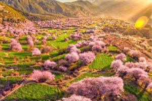 【滇藏桃花·穿越丙察察】怒江大峡谷-独龙江-丙察察-来古冰川-然乌湖-林芝-墨脱-波密桃花沟-嘎啦桃花村-索松村10天深