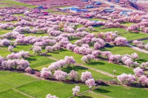 丽江-梅里雪山-德贡公路-怒江大峡谷-丙中洛-丙察察-来古冰川-然乌湖-墨脱-鲁朗小镇-林芝/拉萨9日深度游