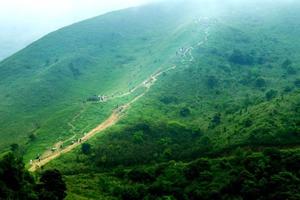 每周末出发【惠州大南山1天】邂逅秋日金色大南山芒花季，徒步穿越迷人高山草甸1天