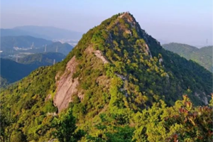 春日踏青计划【神湾丫髻山】打卡中山版小华山，深入神湾菠萝产地，体验摘菠萝乐趣，农家乐品尝菠萝餐