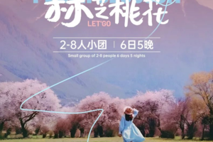 【玩聚林芝桃花】私享2-8人小团6日
