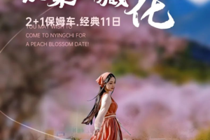 【玩聚川藏桃花节】此生必驾318升级2+1保姆车11日