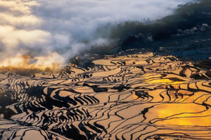 【行摄滇南】东川红土地｜元阳梯田｜罗平油菜花｜九龙瀑布｜弥勒东风韵｜建水古城｜抚仙湖7天6晚