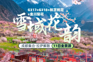 【大美川藏·11日】G317+G318藏地花韵