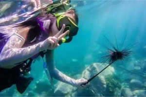 周三六出发【玩转三门岛】广东“小塞班“狂欢夜：浮潜+桨板+赶海+沙滩晚会  行摄杨梅坑打卡《美人鱼》拍摄地